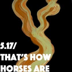 5.17 / That's How Horses Are cover art