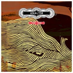 Analyse cover art